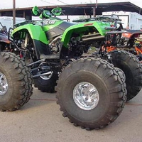 arctic cat