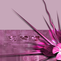 Flora Pink 3D