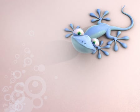 Gecko 4d - 3d, gecko turtle