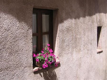 pink window - window, pink