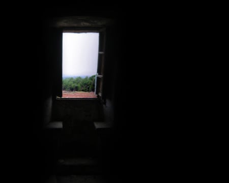 Window to Life - ground, black, bushes, real, darkness, sky, life