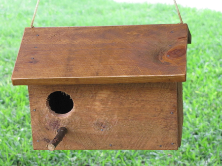 bird house - texas, first try, cedar, birdhouse