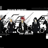 Bleach Agents