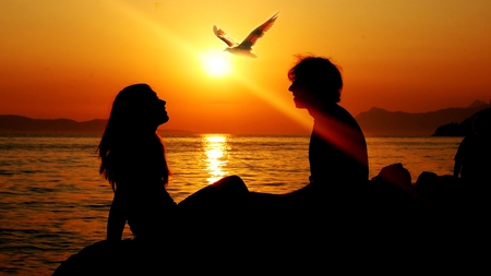 Romantic Sunset - love, silhouette, beach, couple, smiling, sun, sunset, bird, shining, flying, romantic, romance