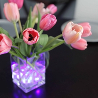 Tulips and pretty lights ~â™¥~