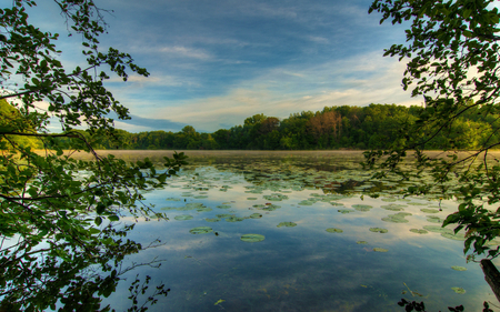 Jensen Lake - clouds, trees, minnesota, lilies, water, beautiful, water lilies, lebanon hills park, flowers, usa, eagan, forests, nature, jensen lake, lake, sky