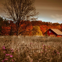 HOUSE ON AUTUMN FIELD