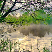 When the fog lifted
