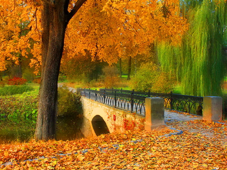 Bridge in autumn park - nature, autumn, fall, forest, park, leaves, bridge