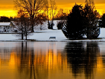 winter sunset - trees, winter, sunset, nature, gold, reflection