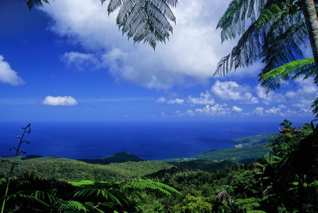 view blue - nature, sky, beach, trees, clouds, blue