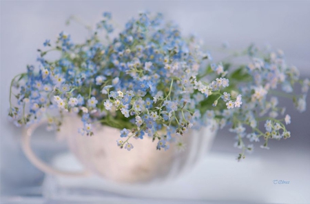 Tiny and cute - beauty, bouquet, vase, tiny, beautiful, sweet, flowers, small, cute