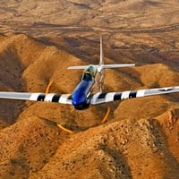 P51 Crazy Horse