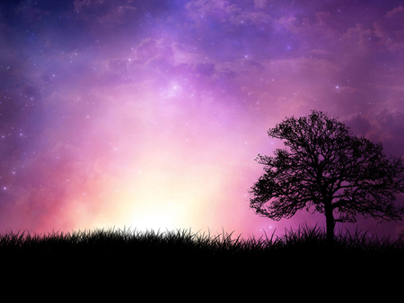 Purple sunset - sunset, nature, purple, grass, field, tree