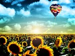 Ballon over a sunflower field