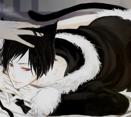 Izaya Orihira - orihira, neko, durarara, izaya