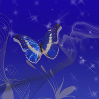 â€  blue butterfly â€