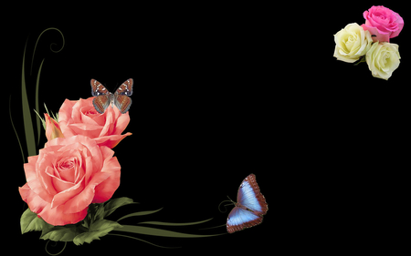 ❀ roses & Butterfly ❀ - own, roses, butterfly, wallpaper