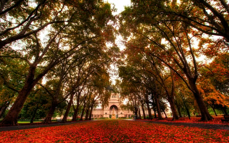 Autumn - beauty, autumn, sky, carpet, trees, peaceful, bench, autumn leaves, path, carpet of leaves, road, fall, view, pretty, walk, architecture, house, tree, houses, building, light, lovely, nature, autumn colors, benches, alley, beautiful, leaves, splendor, colors