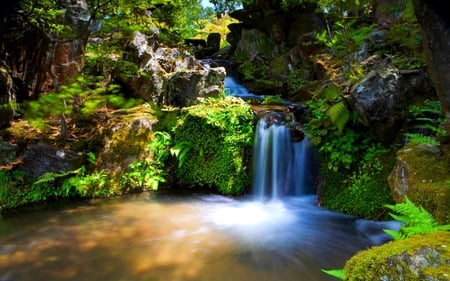 FOREST FALLS - falls, forest, water, stream, green