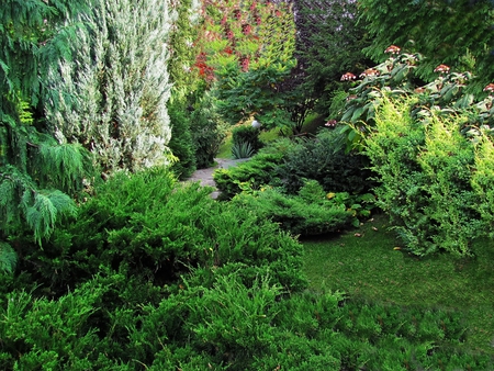 GREEN PARK - trees, nature, park, green