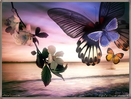 BUTTERFLY - butterfly, flowers, sea, animals