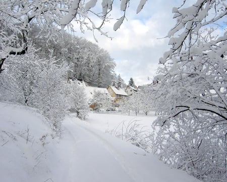 Christmas in Bulgaria - white, nature, village, trees, snow, winter, bulgaria, christmas