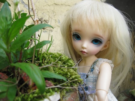 sad dolly - nature, doll, innocent, sad