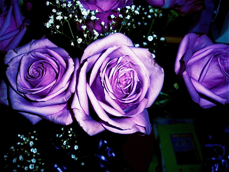 One magical night  ~â˜…~ - special, roses, magical, fashion, night, sunday, bouquet, wonderful, violet, sparkle, entertainment, gorgeous, purple, evening, arrangement, lavender