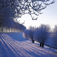 Winter in the Netherlands