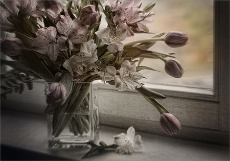 Lovely flowers - tulips, beauty, beautiful, flowers, bouquet, window, vase