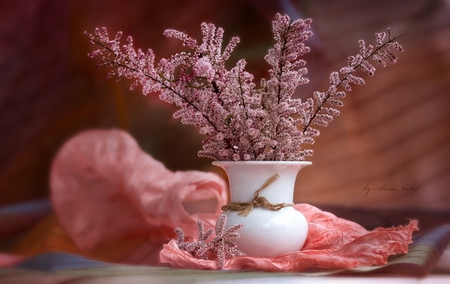 Lovely still life - cloth, beauty, pink, tenderness, flowers, still life, vase