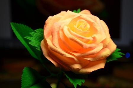 Light rose - brightness, rose, beauty, flower, light, orange rose, leaves