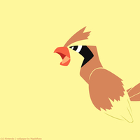 Pidgey the Tiny Bird Pokemon