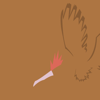 Fearow the Beak Pokemon