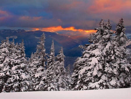 Winter Valley - panorama, sunbeam, colorful, white, amazing, purple, frozen, paysage, sunrays, snowy, trunks, branches, peaks, nature, pink, beautiful, leaves, pines, nice, sky, trees, photography, image, mountains, black, forests, paisage, violet, blue, scenery, awesome, gray, natural, sundown, wood, view, cool, dark, cold, sunny, roots, cena, landscape, hills, mounts, multi-coloured, scenario, snow, photoshop, seasons, sunrise, sunshine, leaf, multicolor, clouds, sunsets, orange, scene, paisagem, firs, winter, plants, picture, colours, cenario, grove, colors, photo