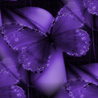 PURPLE BUTTERFLY