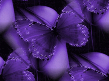 PURPLE BUTTERFLY - butterfly, animal, purple, wings