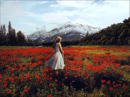 fields of flowers - red, plants, flowers, lovely, fields, girl, nature