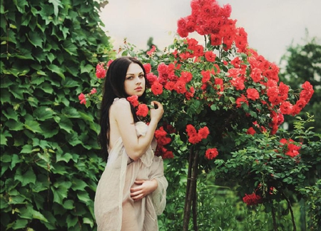 tree flower - red, plants, cute, flowers, tree, female