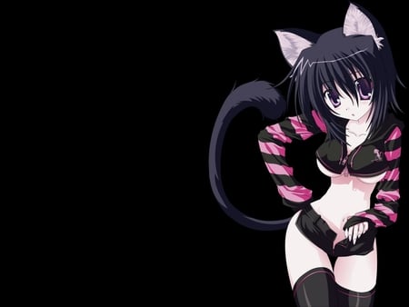 Anime - anime, tail, catears, cat