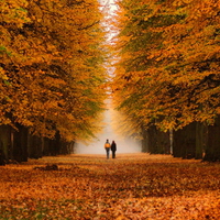 Autumn walk