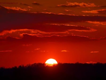 Red sunset clouds - red, sky, clouds, sunset, sun, burning