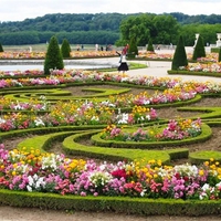A field of Flowers for my friend Jeri ( mememe 1 )