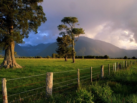 Landscape - nature, grass, field, fence, tree