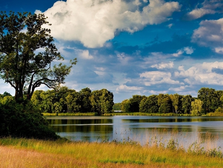 Nature - nature, sky, lake, landscape, tree