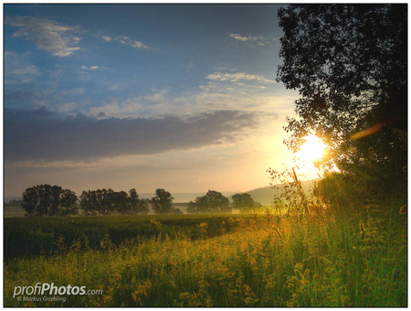 Dawn at the Meadow - trees, green grass, blue sky, meadow, field, sunrise