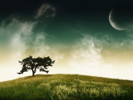 Evening - sky, landscape, moon, tree, nature