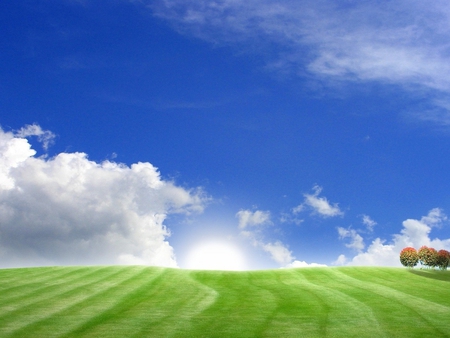 Field and sky - sky, landscape, field, tree, nature, grass