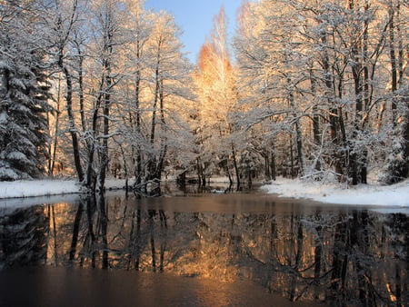 Lake - lake, nature, tree, sky